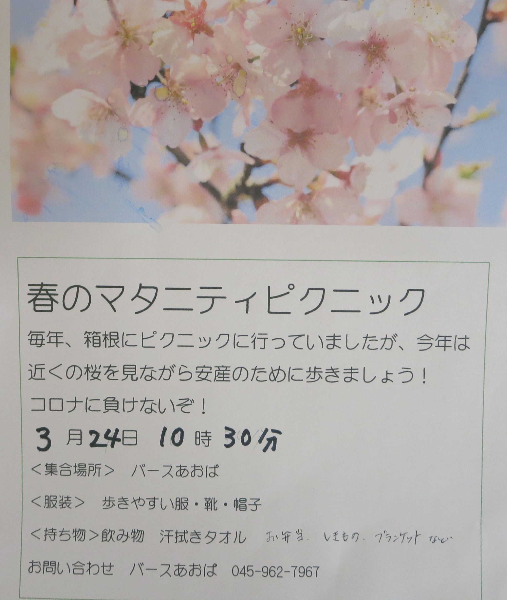 明日の春のマタニティピクニック追記